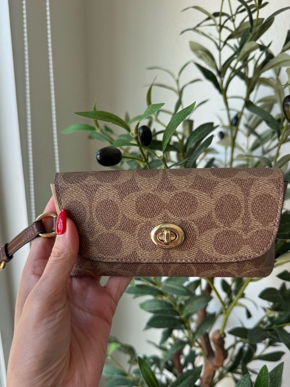 Coach Brown Signature Canvas Sunglasses Case with Gold Turn-Lock